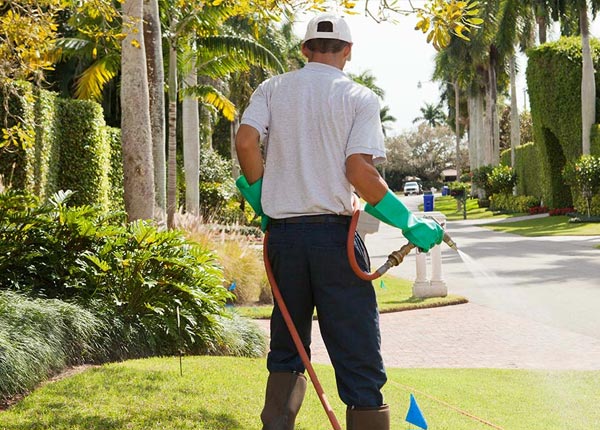 About Orchard NE Pest Control